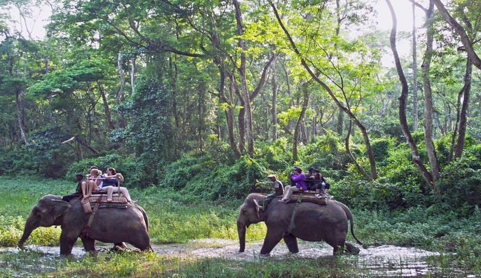 <span>Chitwan National Park</span>2 Nights stay