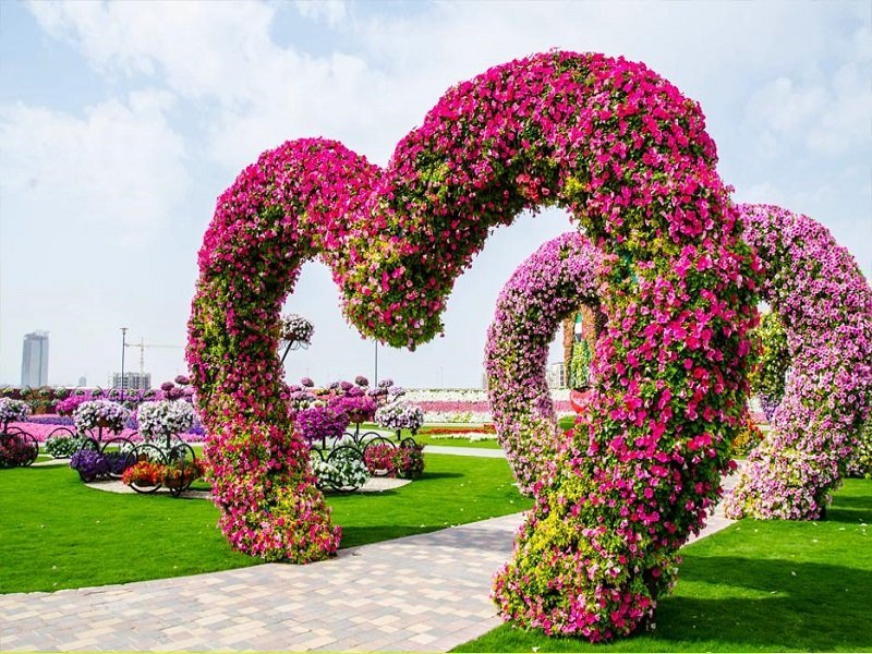 Rose Garden, Chandigarh