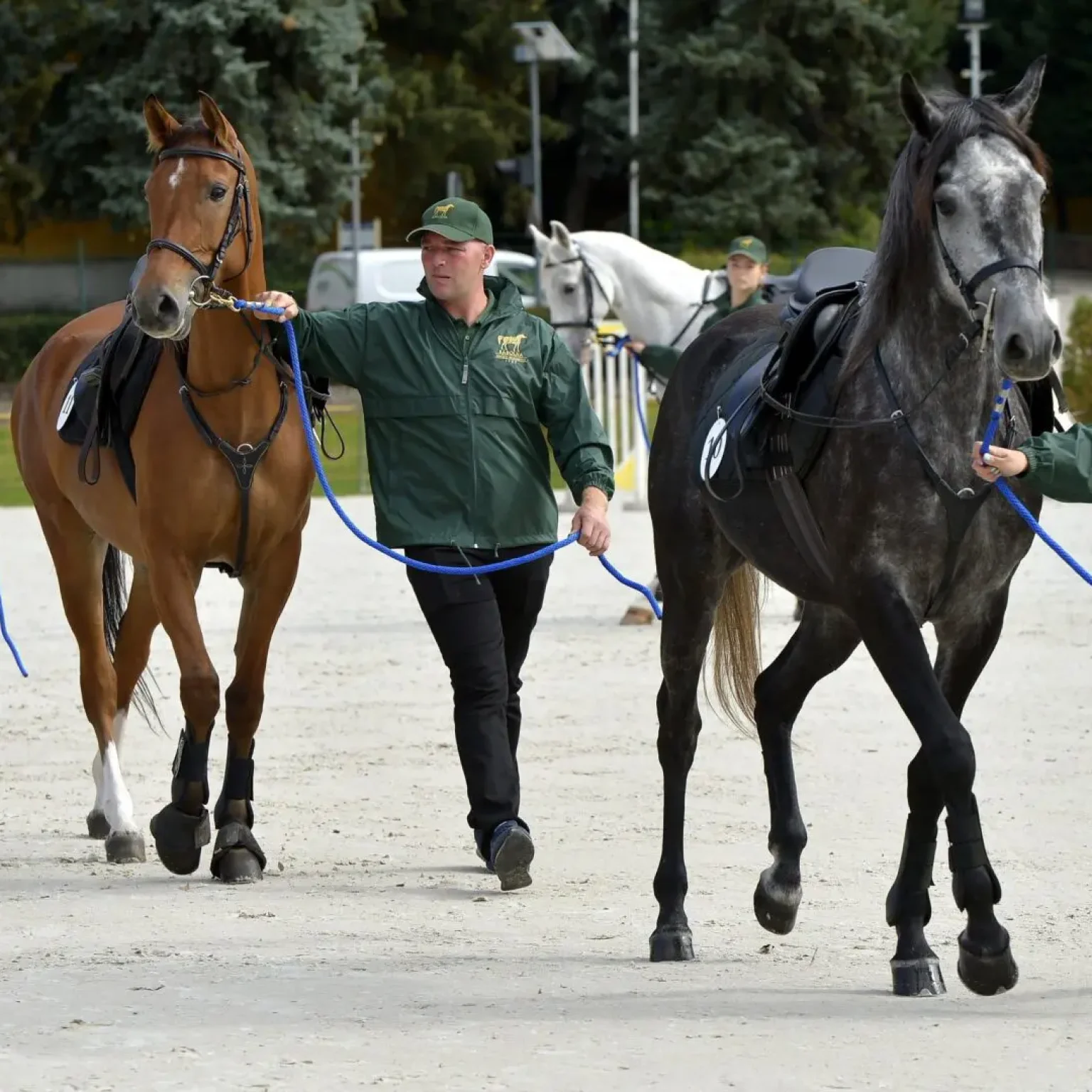 Hungarian Horsemanship show-Hungary-Budapest-Europe