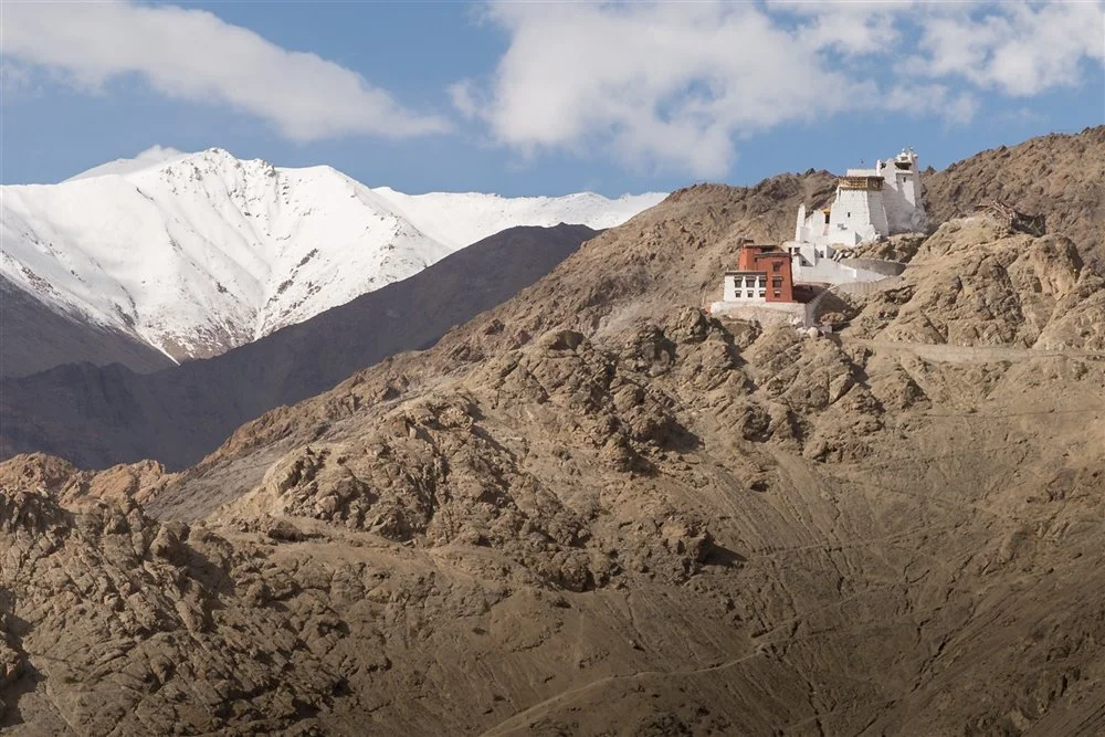 • Namgyal Tsemo Gompa, Leh