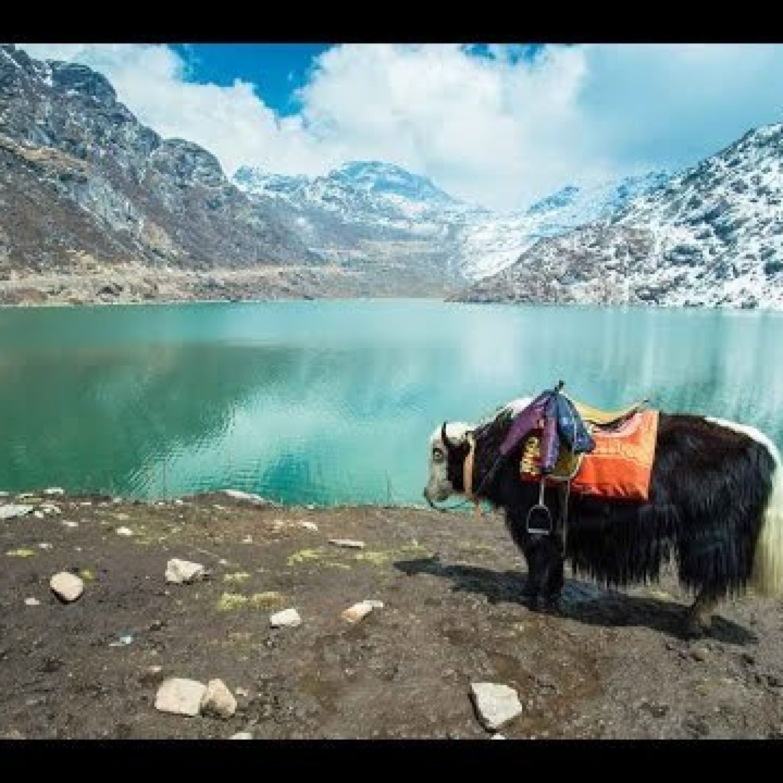 Sikkim-yak-lake