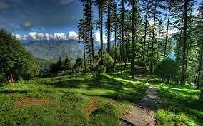 Day trip to Dhanaulti (Mussoorie-Dhanaulti-Mussoorie)