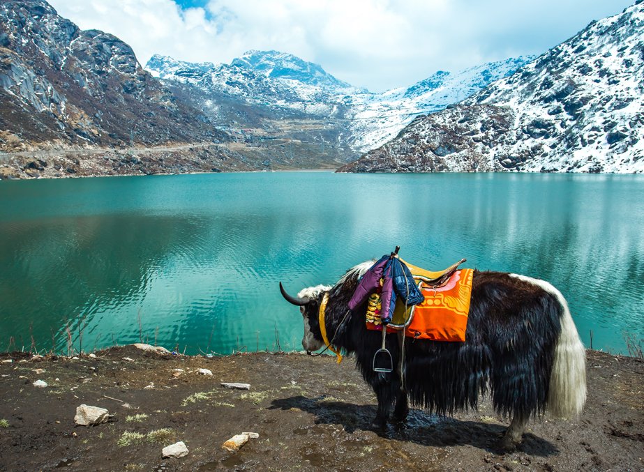 Tsomgo Chho Lake, Gangtok