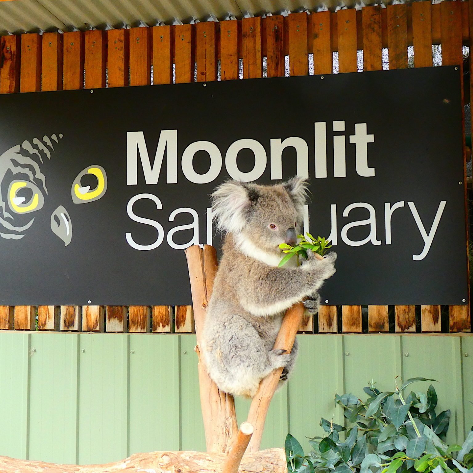 Moonlit Sanctuary Wildlife Conservation Park-Melbourne-Australia